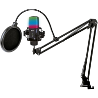 Микрофон RITMIX RDM-270 black