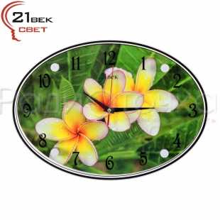 Часы настенные "21 ВЕК" Плюмерии в росе