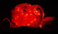 Гирлянда LED Змейка (внутренняя , 48 красных LED, 4,5м, 8 режимов, с ЗЛ)