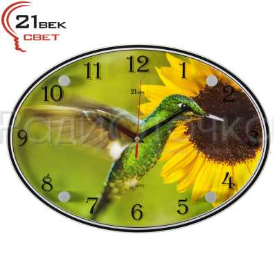 Часы настенные "21 ВЕК" Колибри